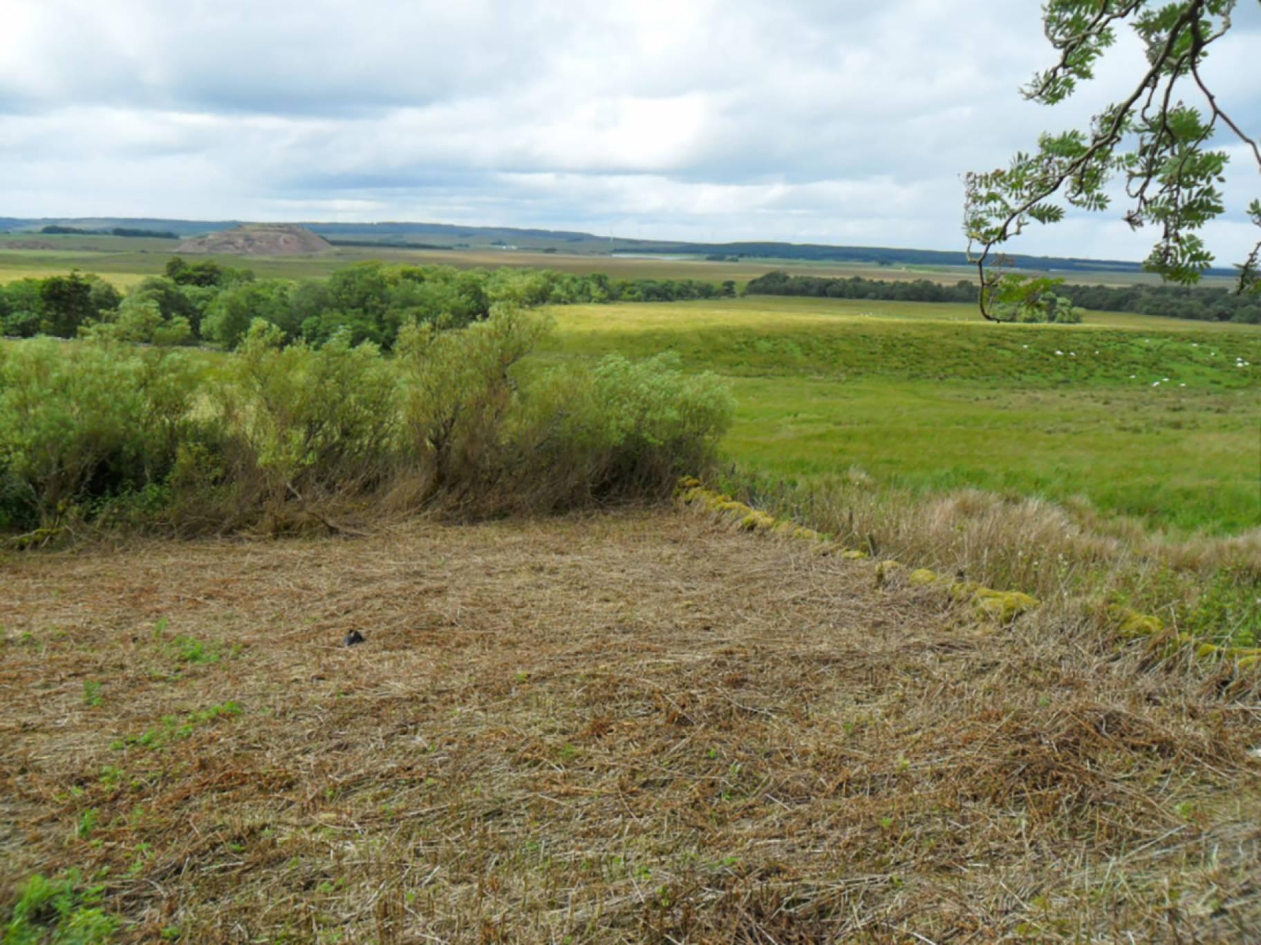 Plot of Land Maidenwellbrow Cottage, Tarbrax, West Calder, EH55 8LP