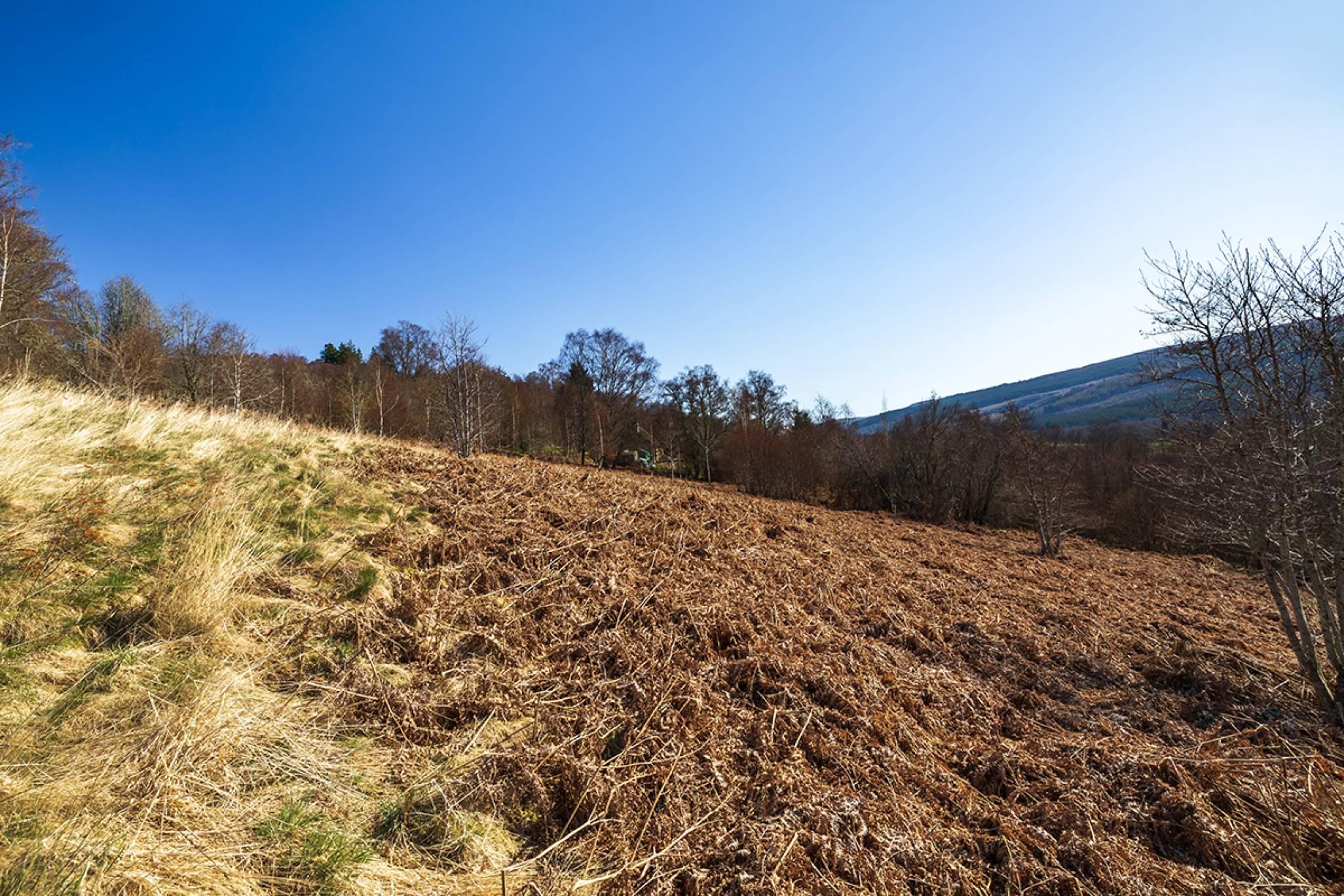 Building Plot 95M West of Eastwood, Balnain, Drumnadrochit, IV63 6TN
